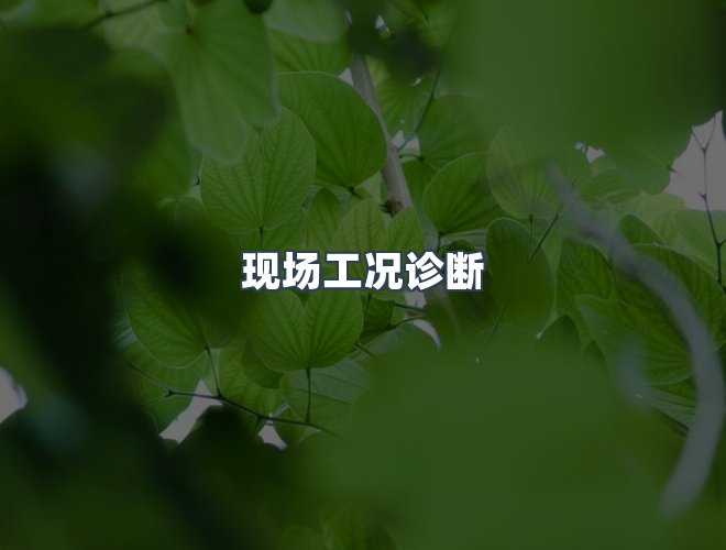 服务优势
